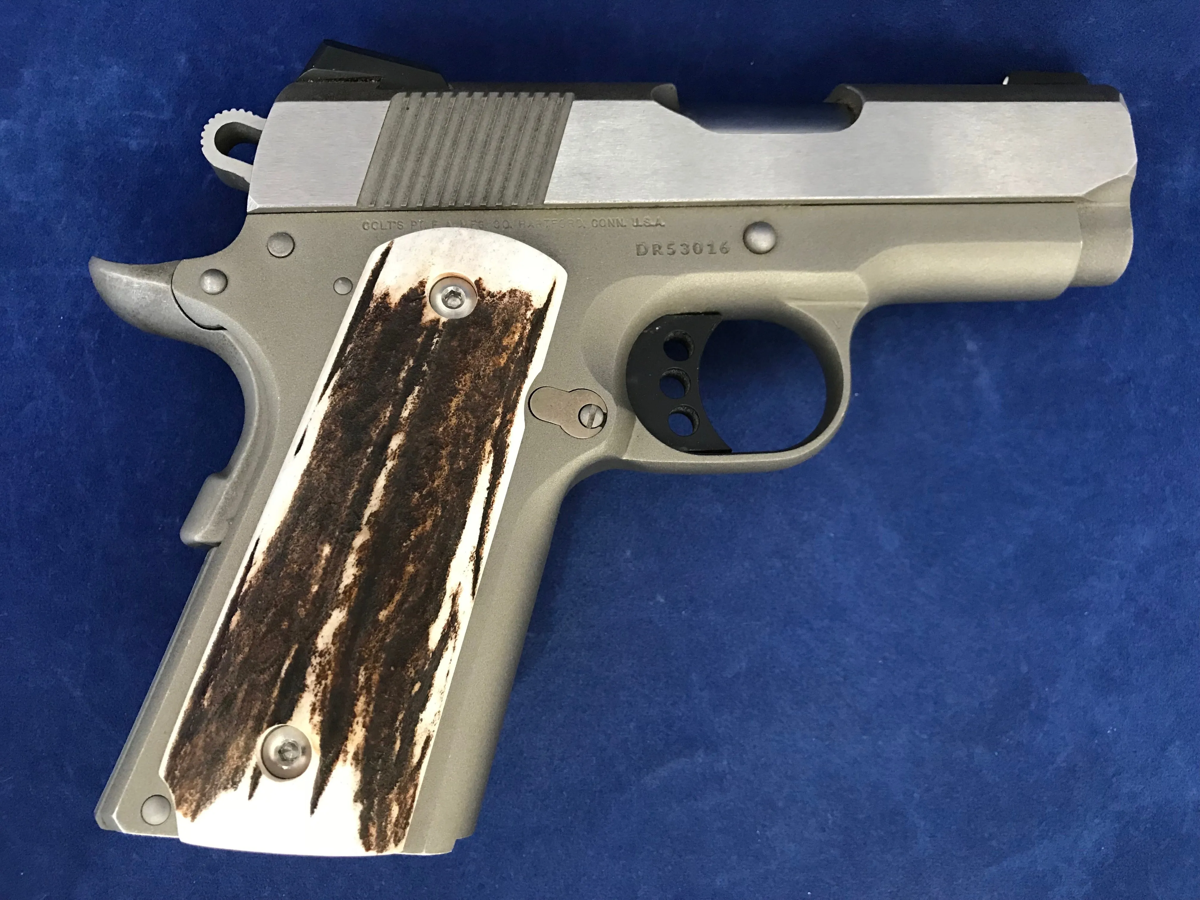 1911 Compact Elk Horn #A1130