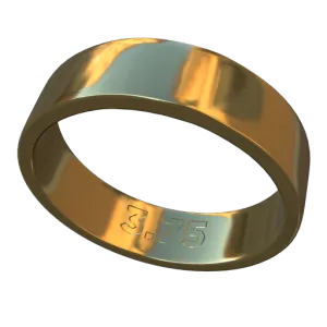 Band, standard-flat-4mm [tfoj_tKB70B5QKTZ8]
