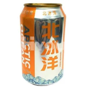 Bei Bing Yang Orange Soda 330ml ~ 北冰洋 橙子味 330ml