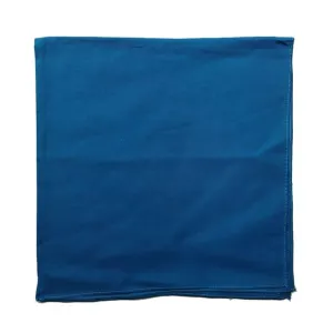 Blue Bandana Plain