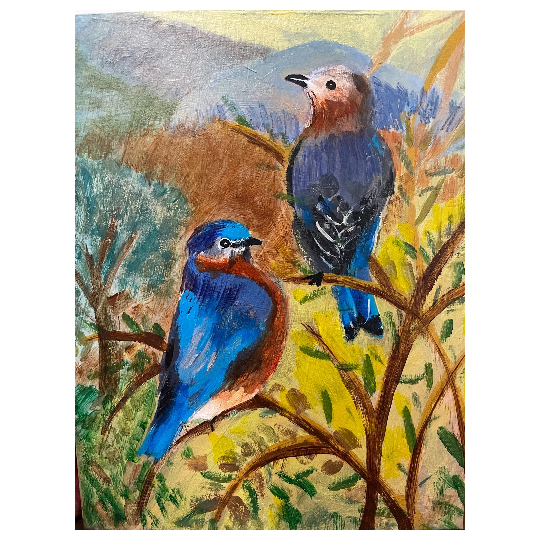 Bluebird Spring
