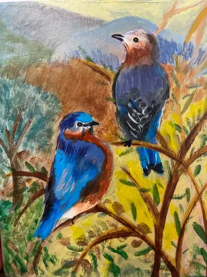 Bluebird Spring