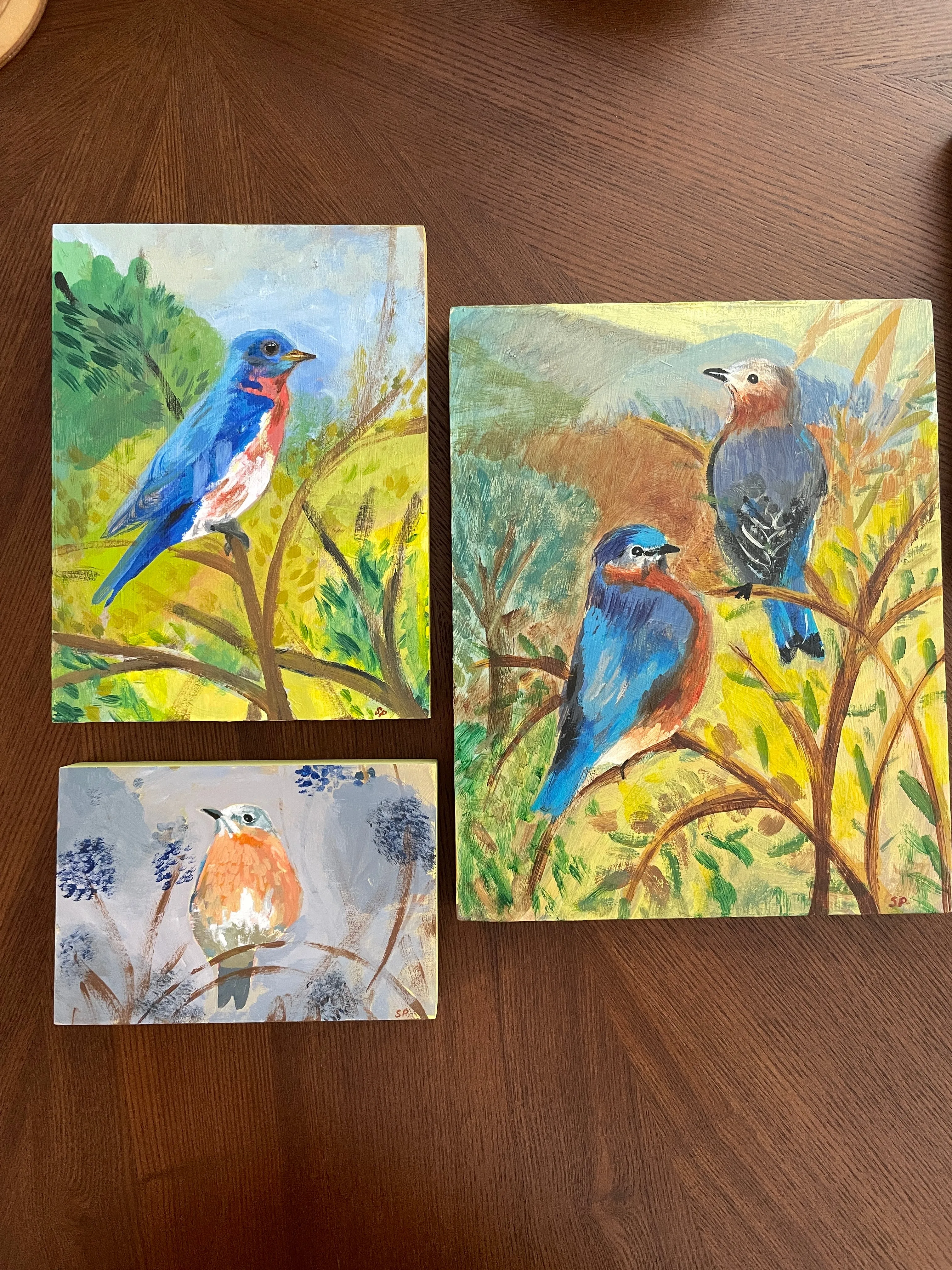 Bluebird Spring