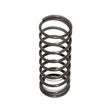 BONNET SPRING MGA