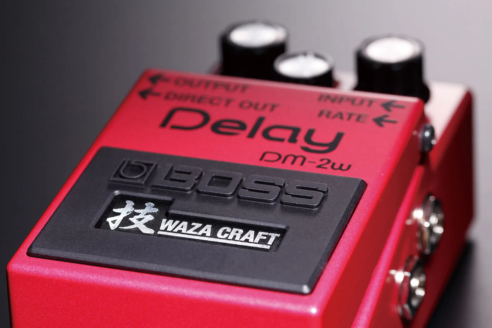 Boss DM-2W Delay WAZA CRAFT Compact Pedal