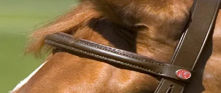 BROWBAND PLAIN