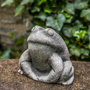 Campania Stone Frog