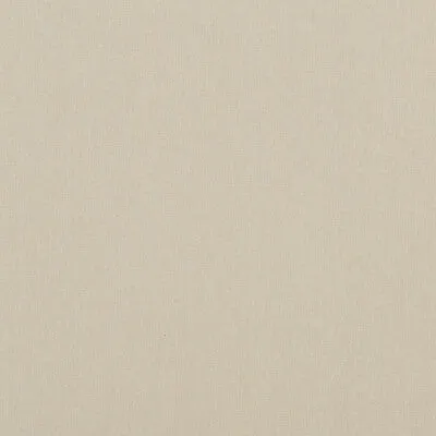 Carnival Plain-Oatmeal