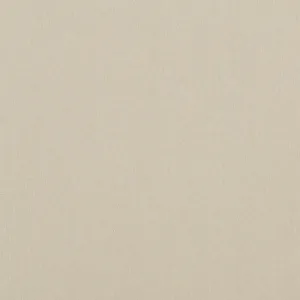 Carnival Plain-Oatmeal