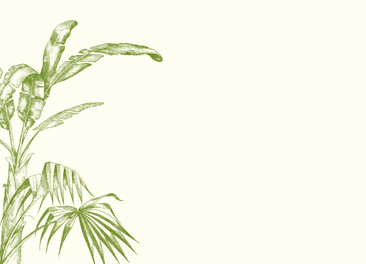 Customizable Swampy A6 Notes
