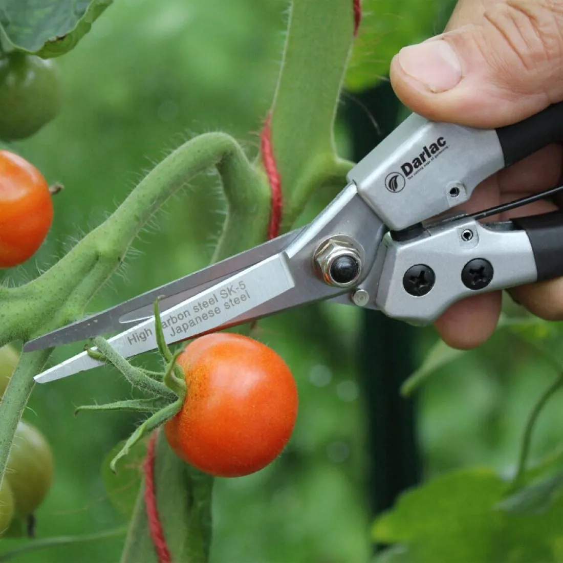 Darlac Compact Snips