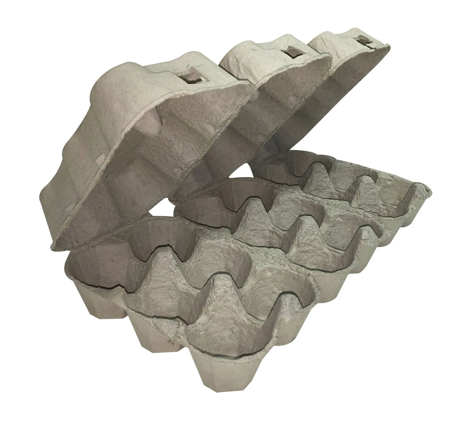 Eton Half Bundle Egg Boxes Plain