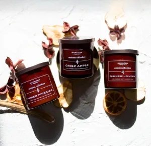 Fall Collection Bundle