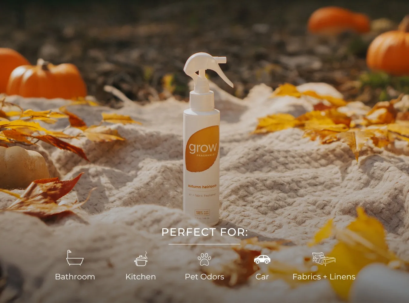 Fall Collection Set