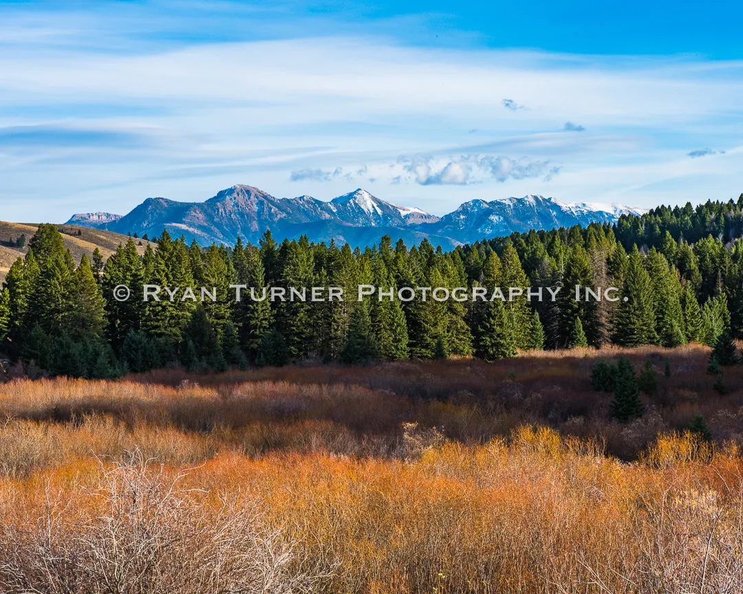 Fall in Madison County