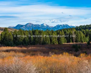 Fall in Madison County