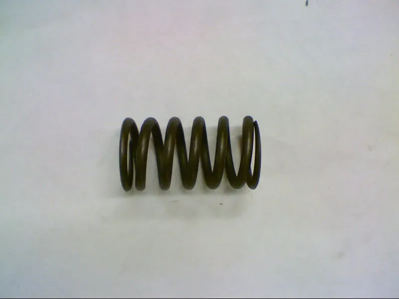 INNER SPRING (#30037601)