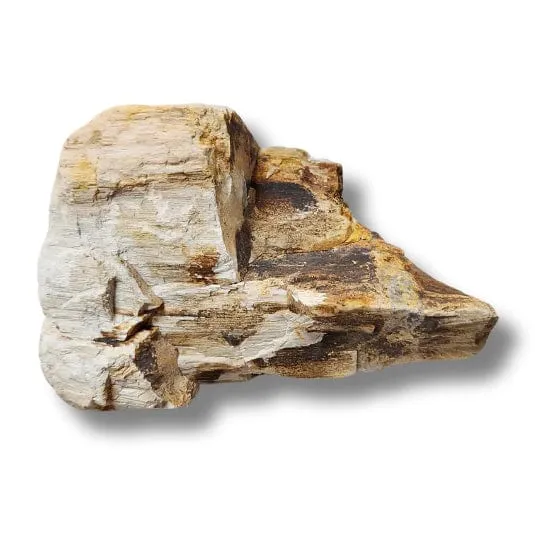 Jurassic Stone