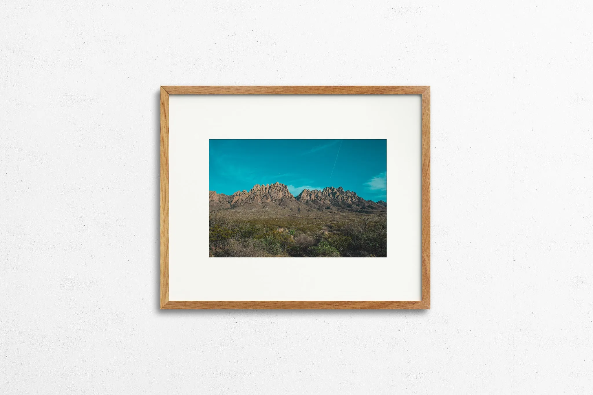 Photography: Organ Mountains