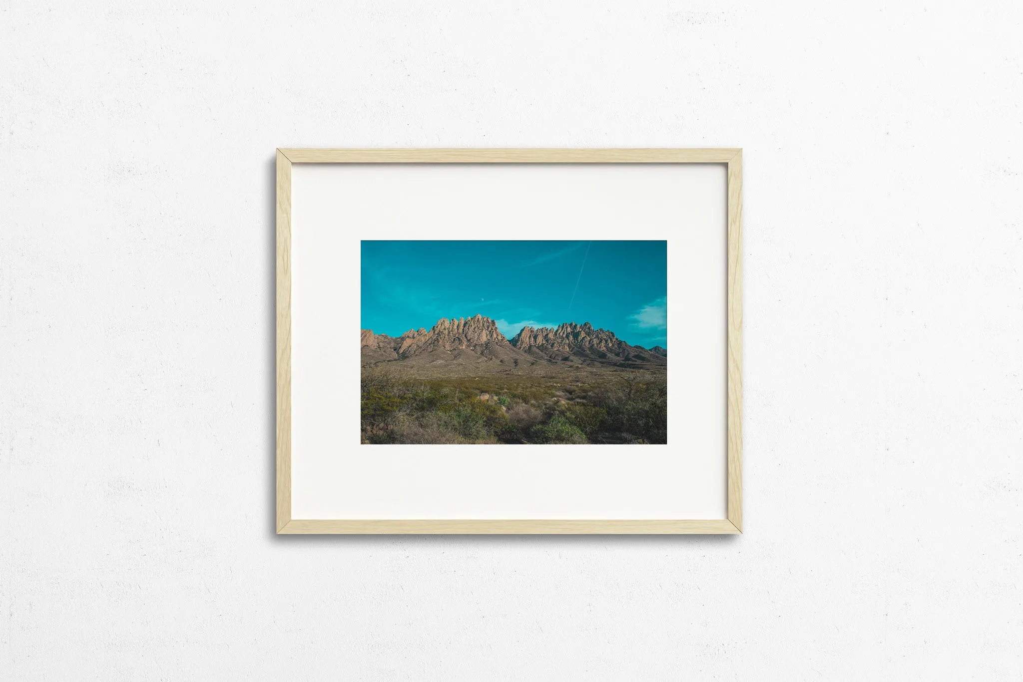Photography: Organ Mountains