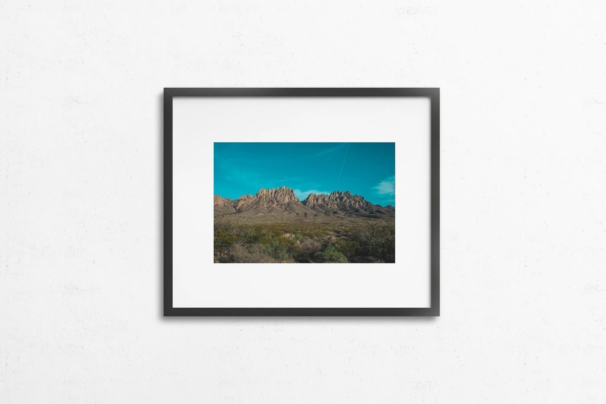 Photography: Organ Mountains