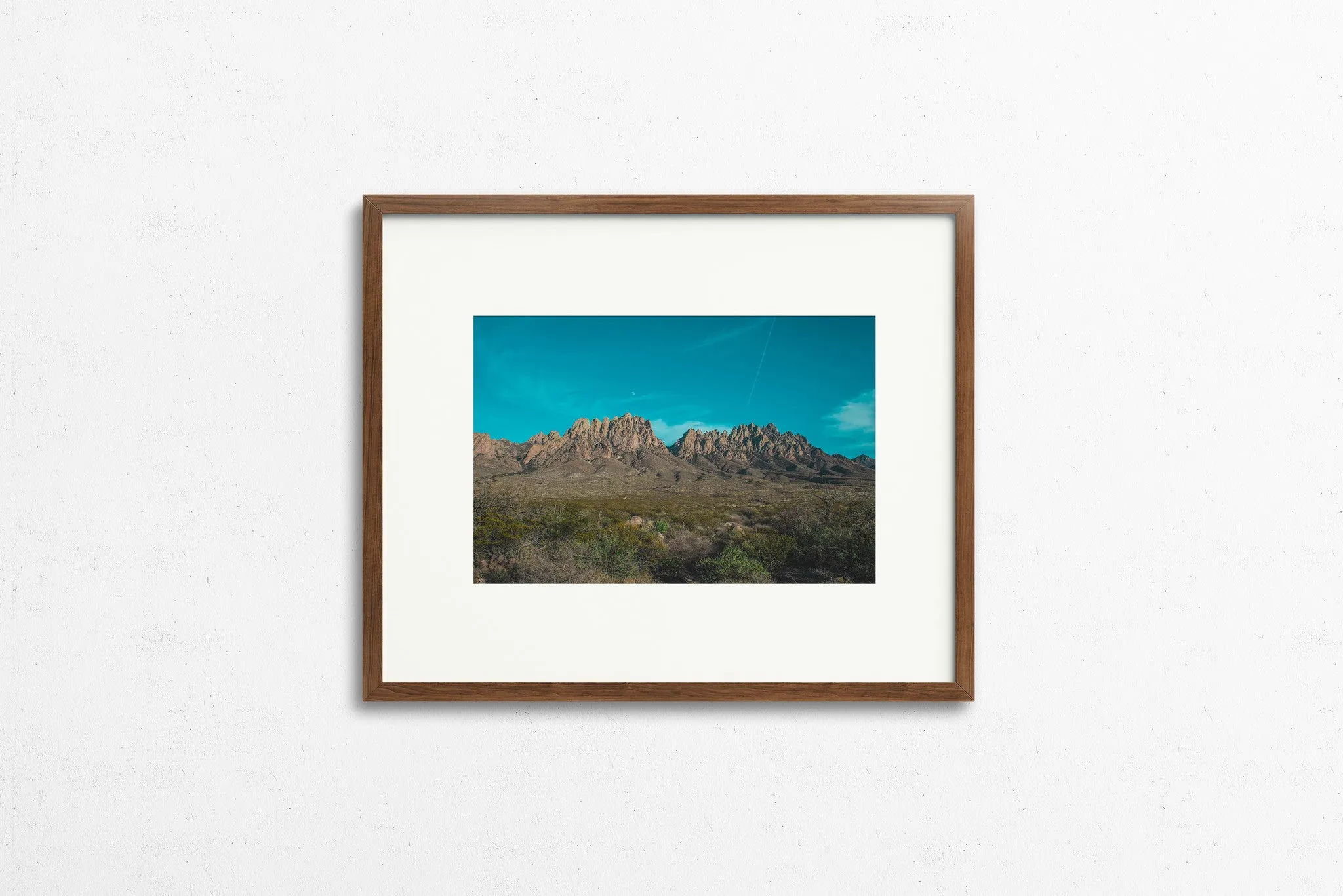 Photography: Organ Mountains
