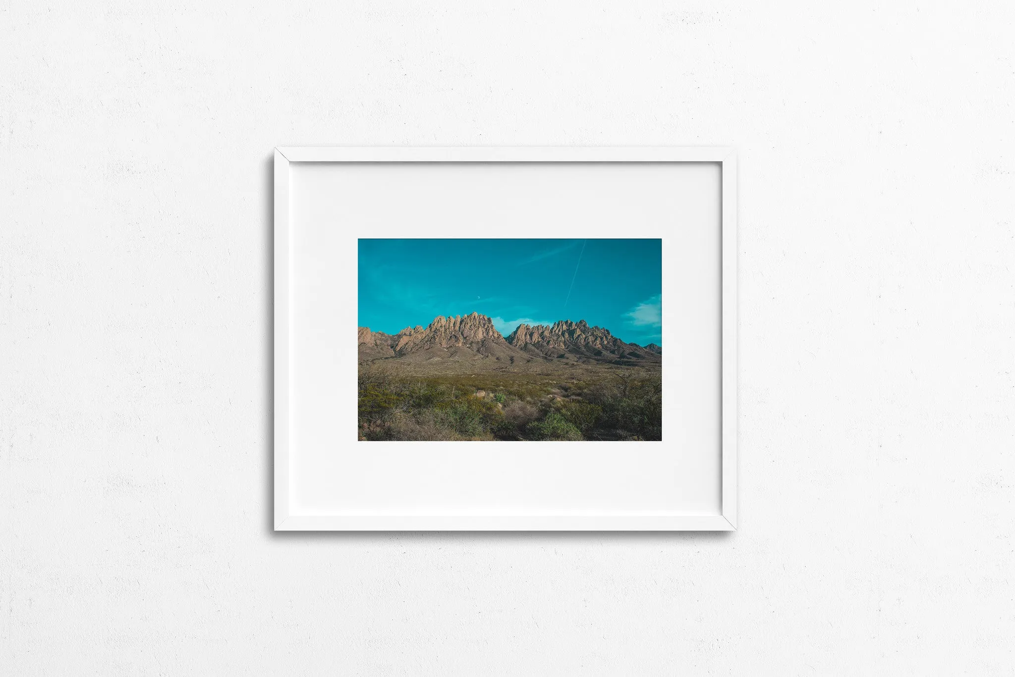 Photography: Organ Mountains