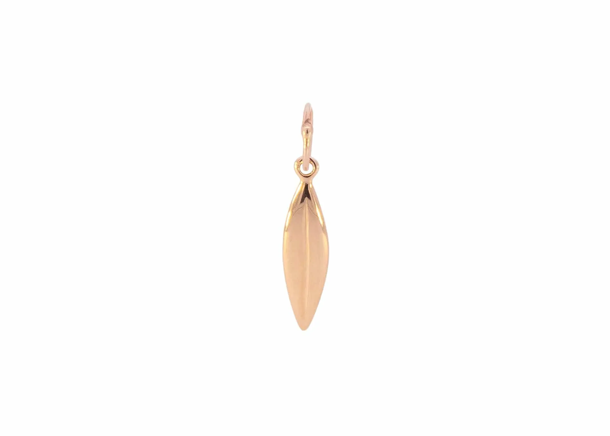 Pomegranate Leaf Charm