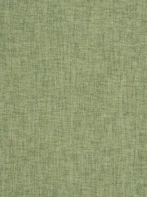Poplin - Spring