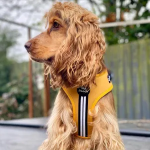 Retro Stripe Dog Harness - Mustard