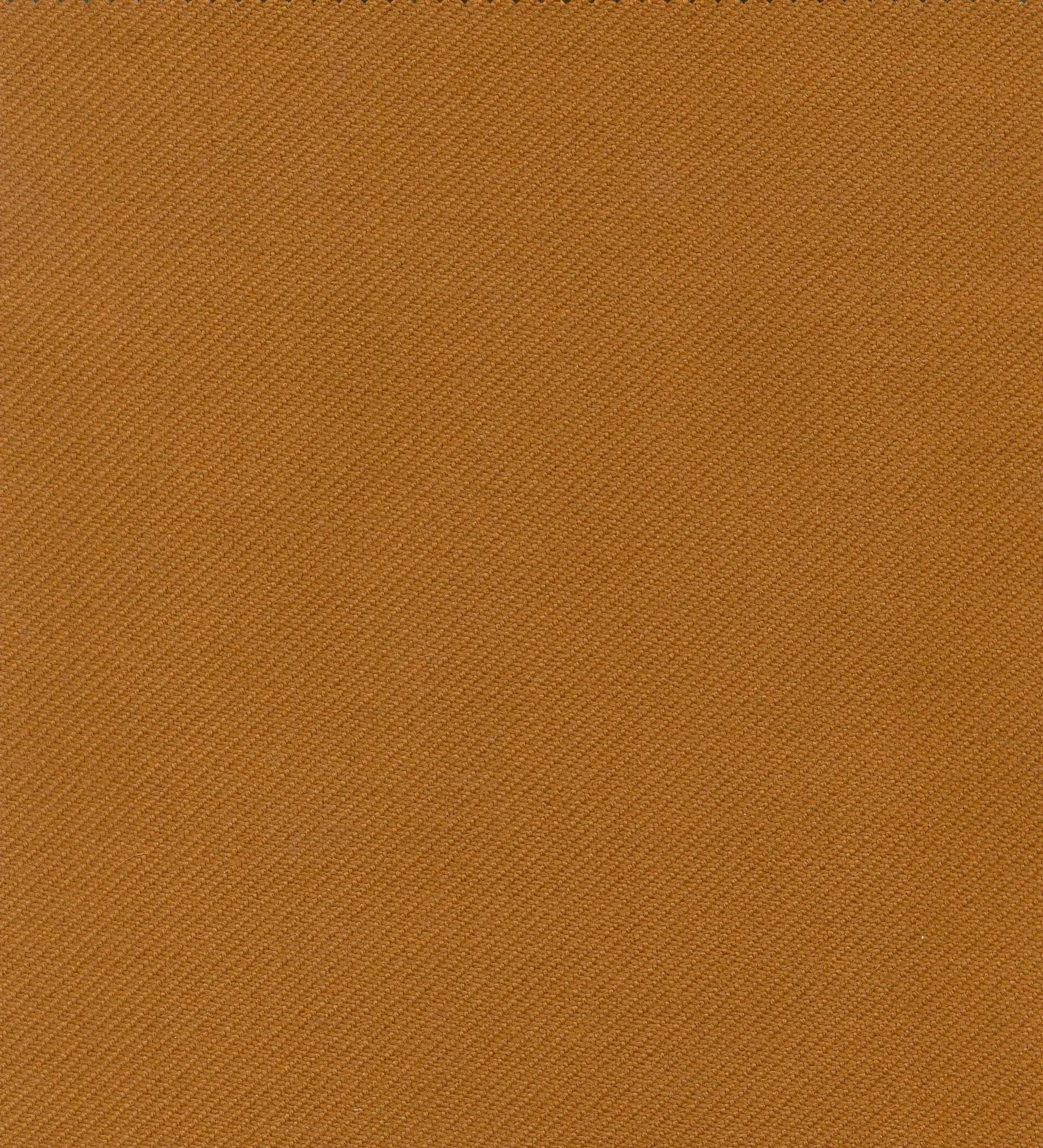 Saffron PLAIN