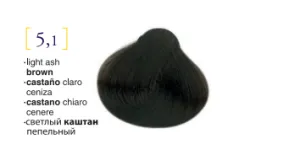 Salerm© Salermvison Professsional 5,1 Light Ash Brown 2.3oz