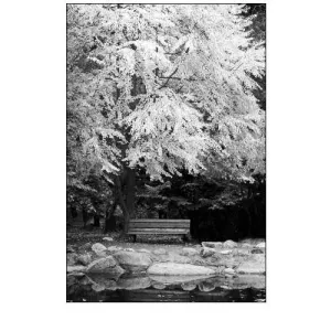 Silver Fall I