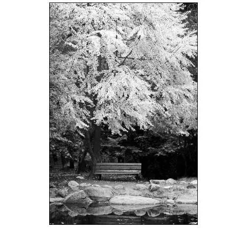 Silver Fall I