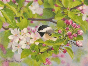 Spring Beauty