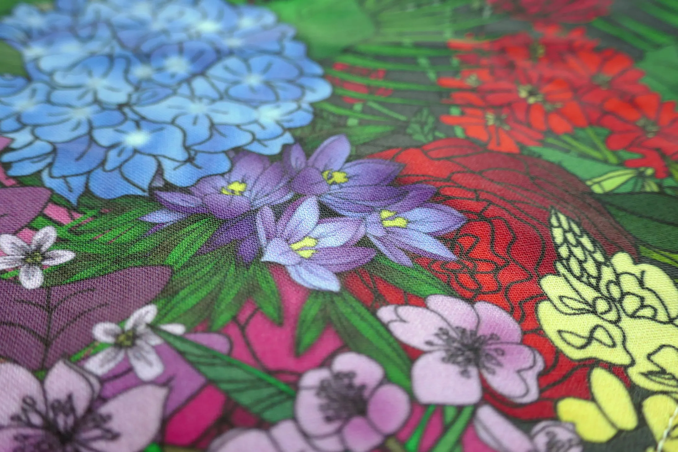 Spring Blooms