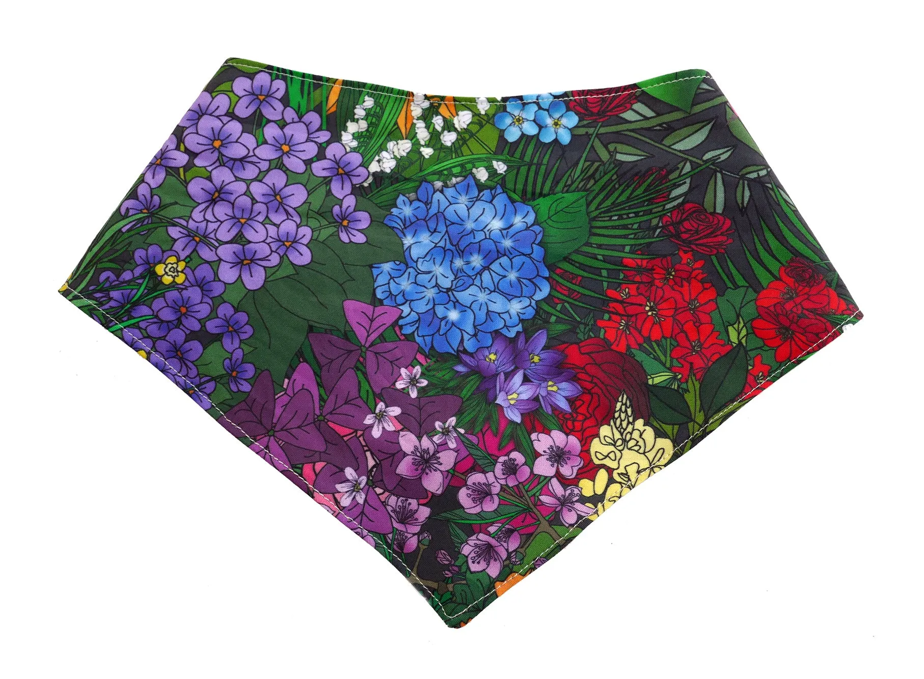 Spring Blooms