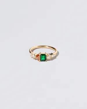 Spring Ring