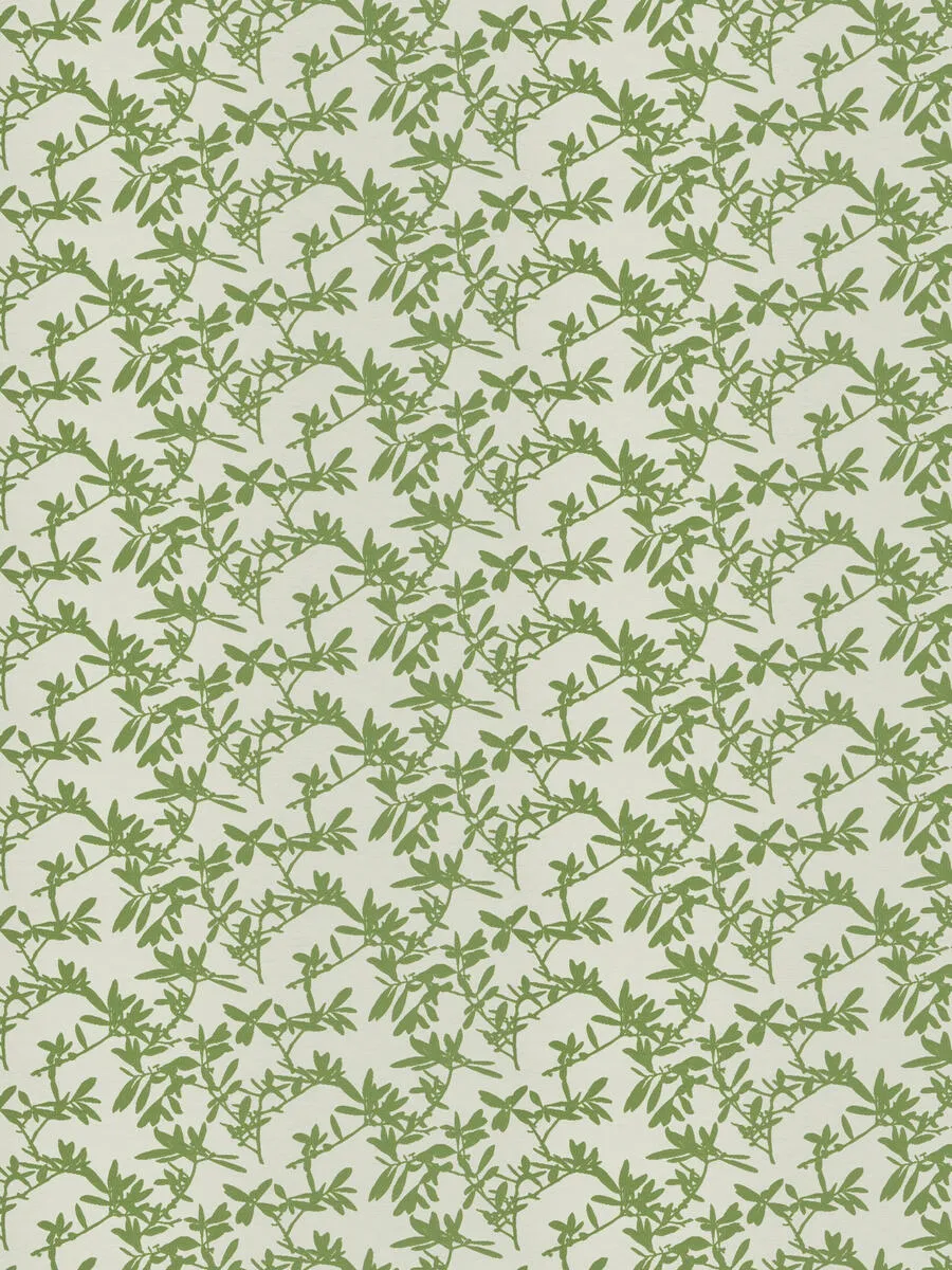 Tryst - Spring