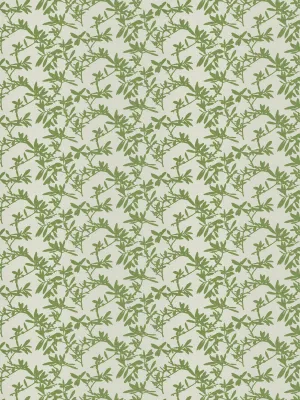 Tryst - Spring