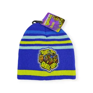 Turtles Basic Beanie