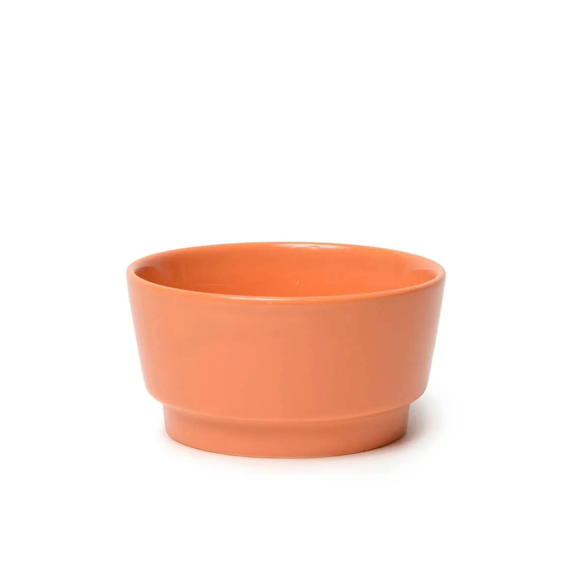 Waggo Glossy Ceramic Dog Bowls