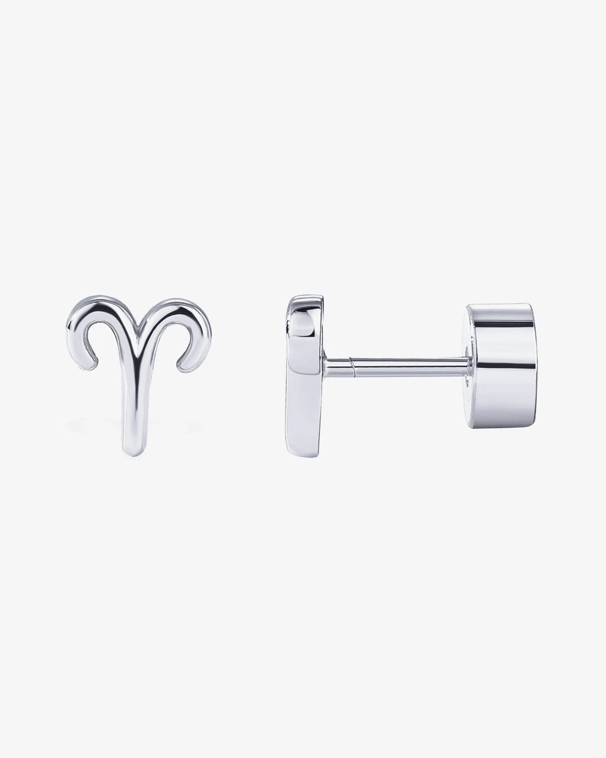 What's Your Sign Horoscope Earrings