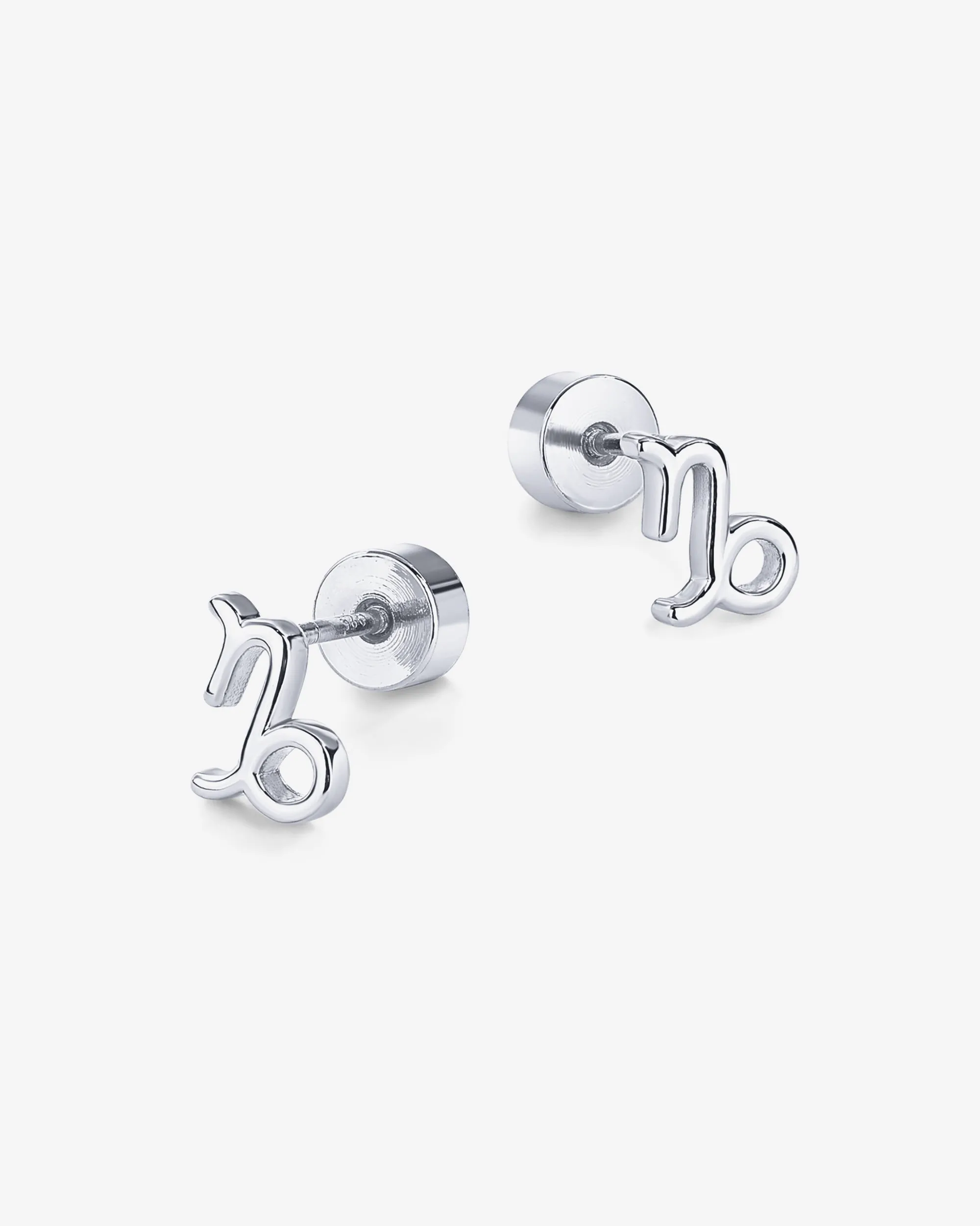 What's Your Sign Horoscope Earrings