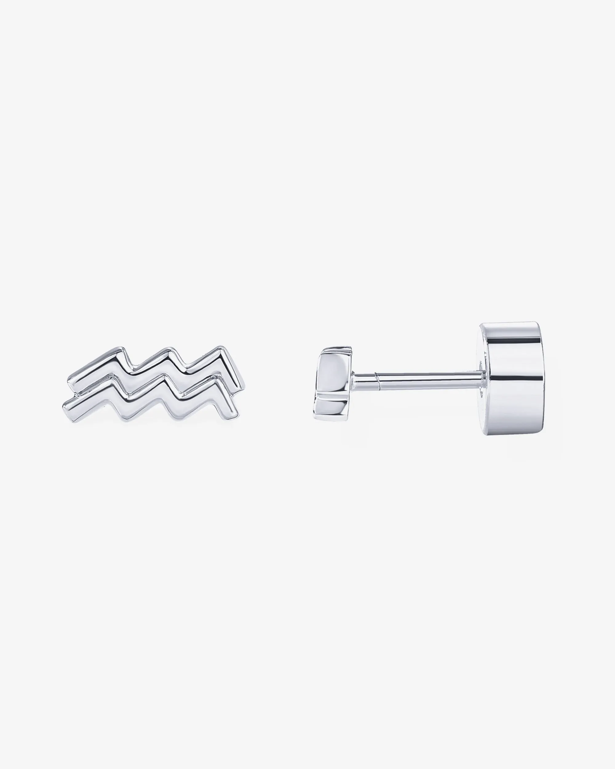 What's Your Sign Horoscope Earrings