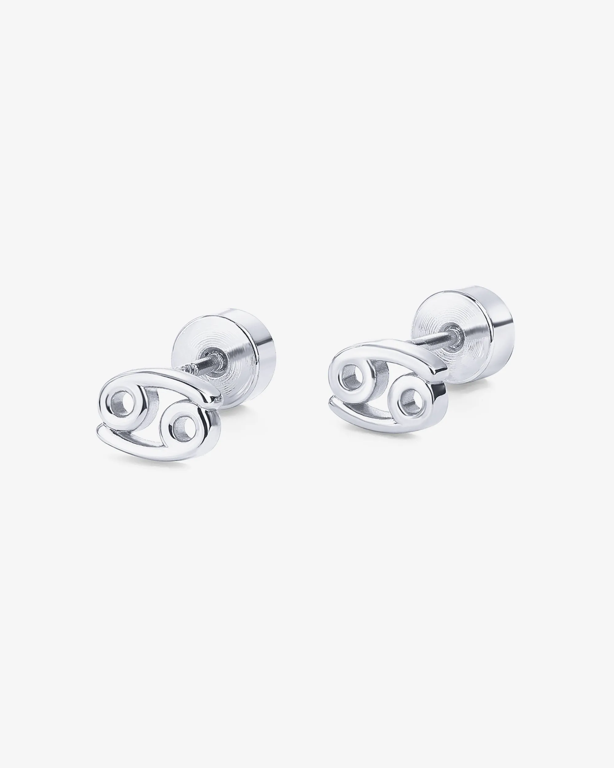 What's Your Sign Horoscope Earrings