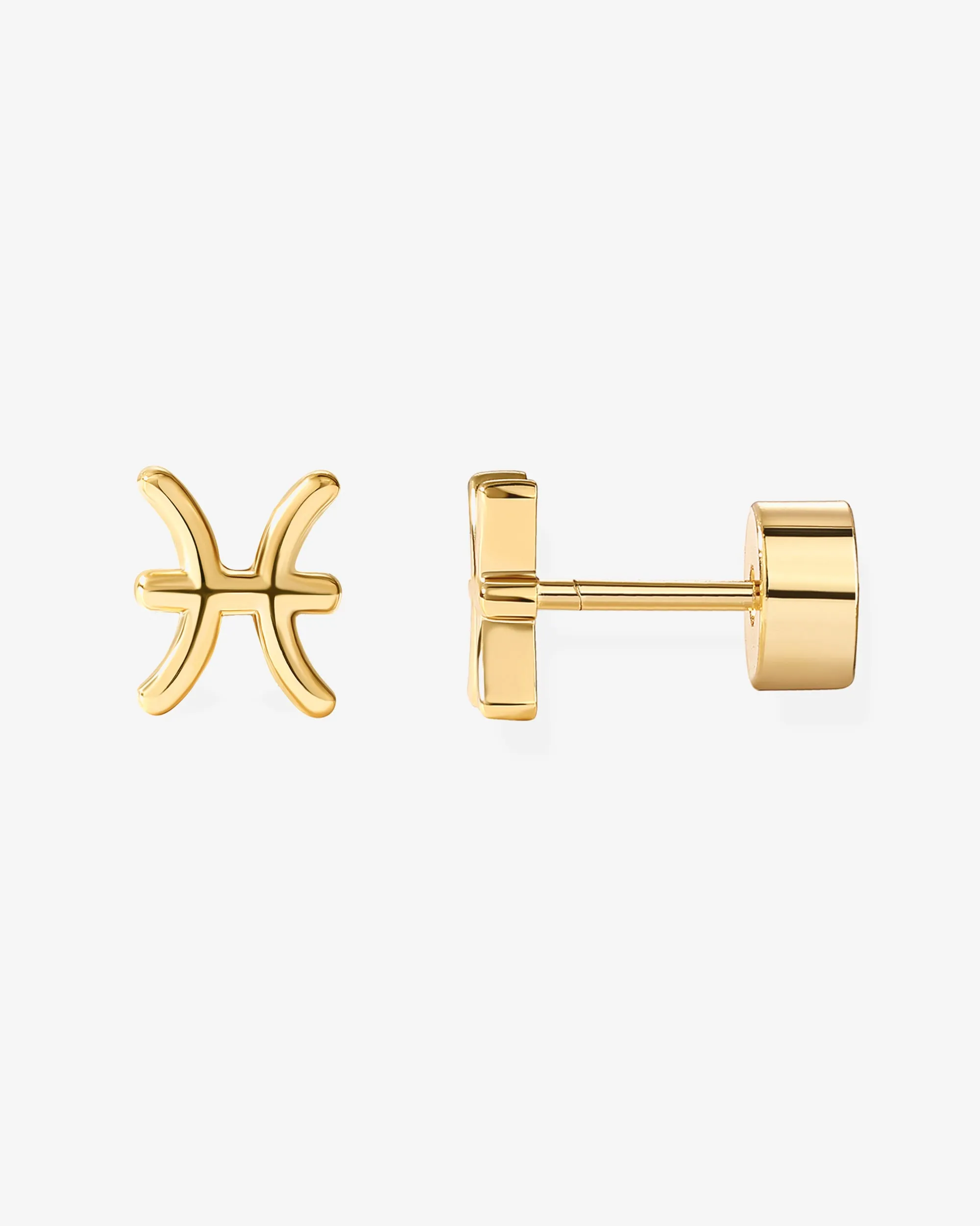 What's Your Sign Horoscope Earrings