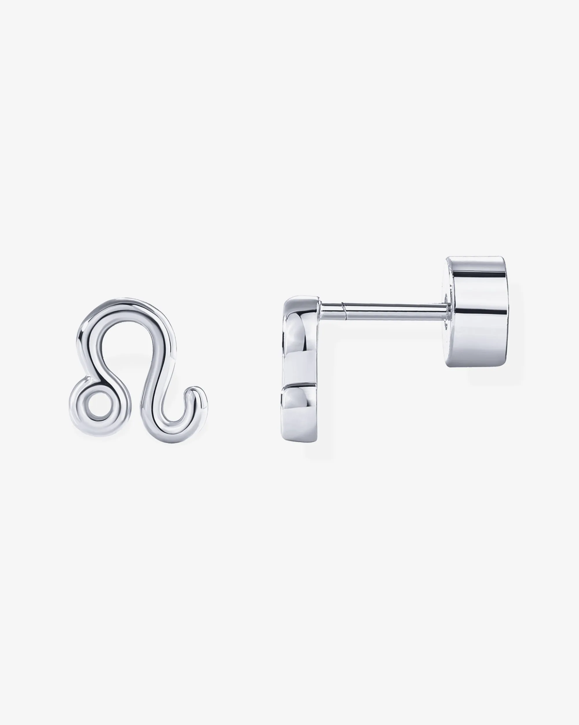 What's Your Sign Horoscope Earrings