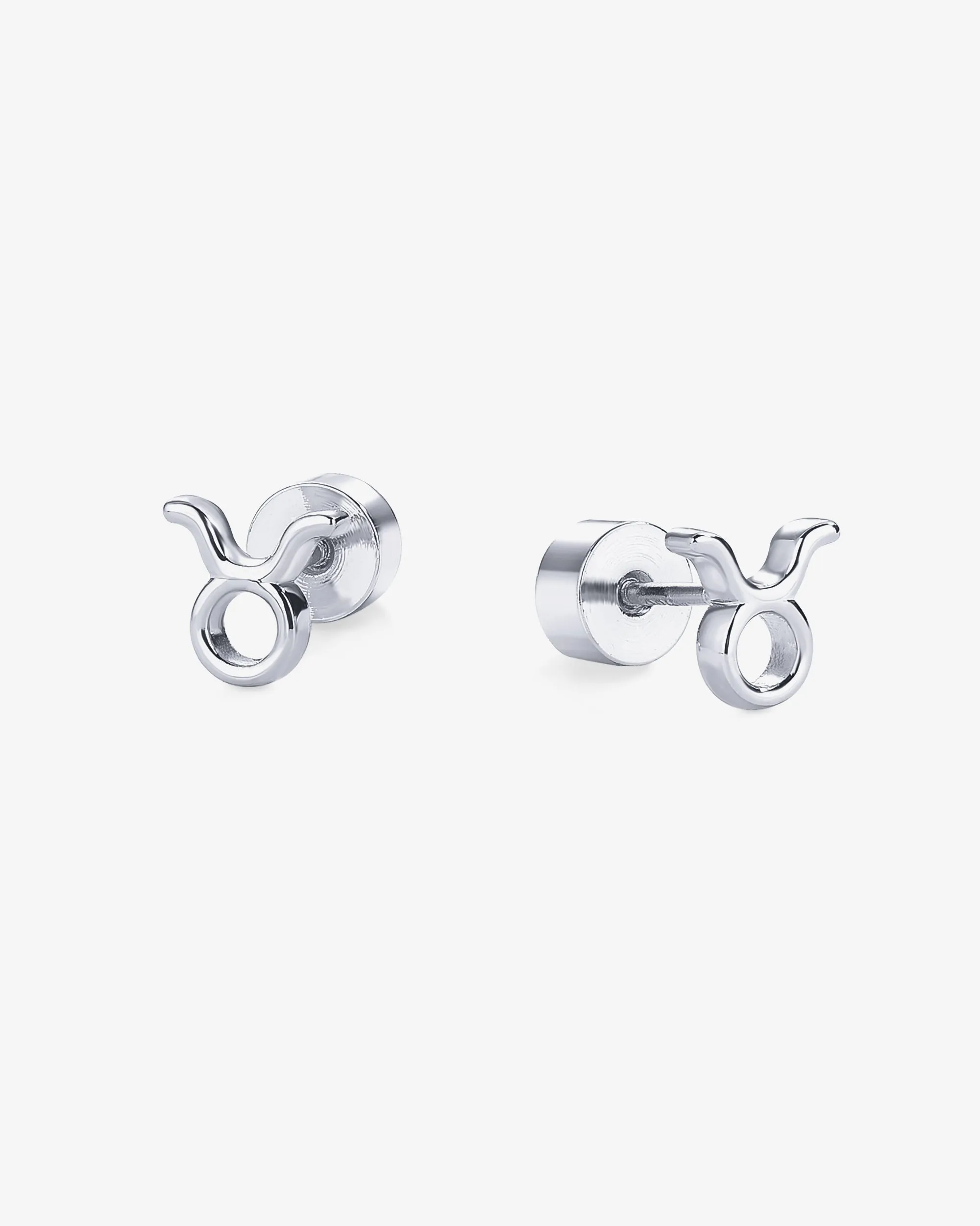 What's Your Sign Horoscope Earrings