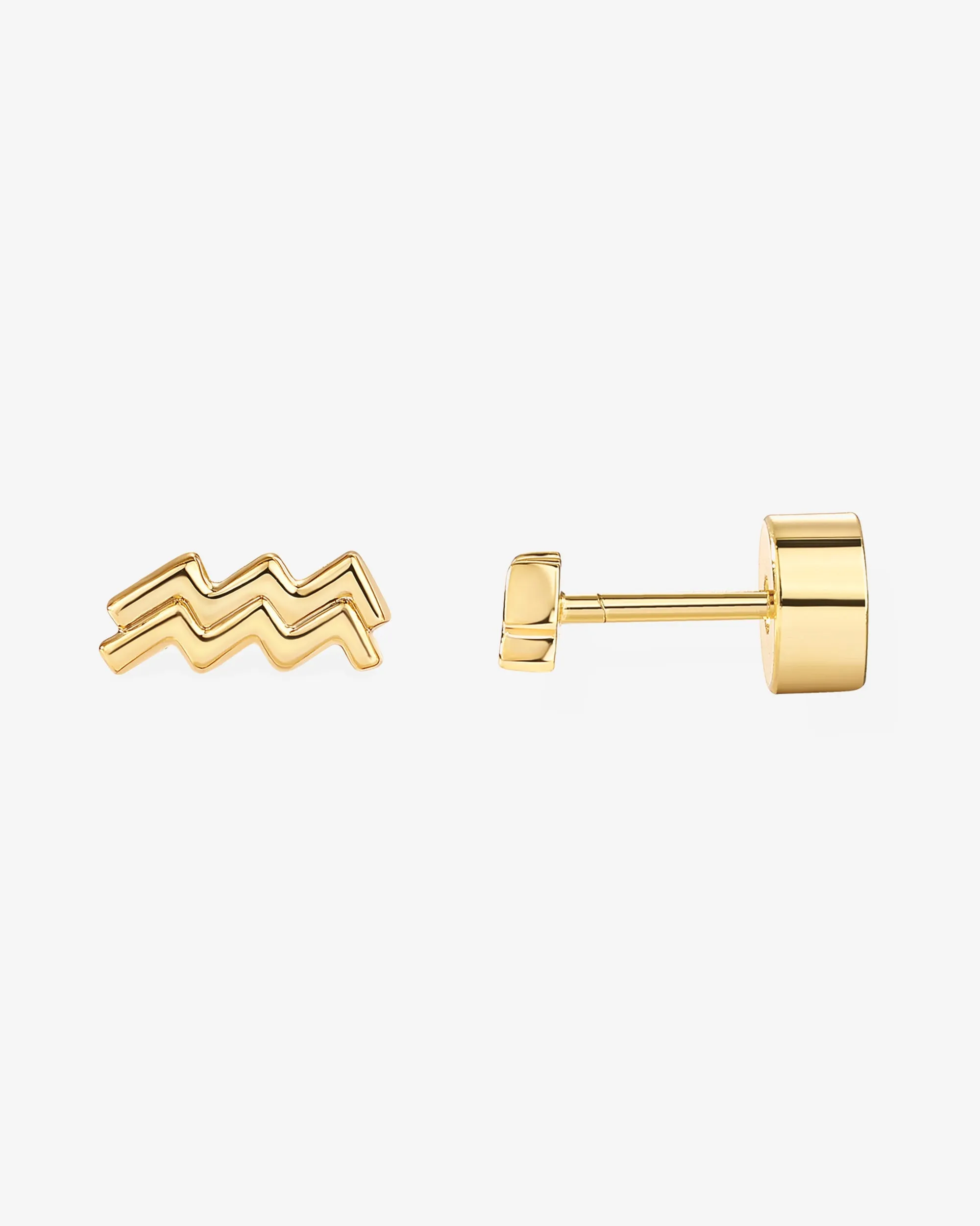 What's Your Sign Horoscope Earrings